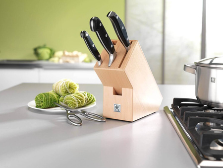 ZWILLING PROFESSIONAL S Zestaw 4 noży w drewnianym bloku