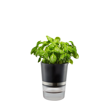 GEFU BOTANICO Doniczka na zioła