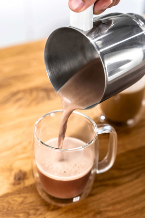 ZWILLING ENFINIGY Spieniacz do mleka srebrny