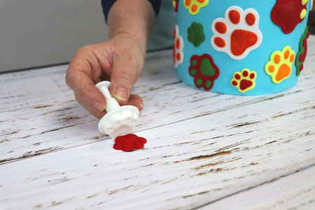 PME Zestaw 3 foremek psie łapki z tłokiem