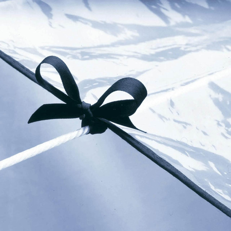 RAYEN Pokrowiec ochronny na pranie suszone na lince