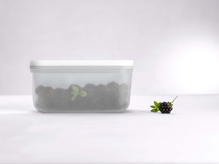 ZWILLING FRESH & SAVE Plastikowy pojemnik prostokątny 1.1 ltr, szary