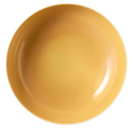 SELTMANN MEADOW GRASSES CURRY Zestaw 2 misek 25 cm