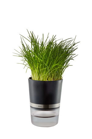 GEFU BOTANICO Doniczka na zioła