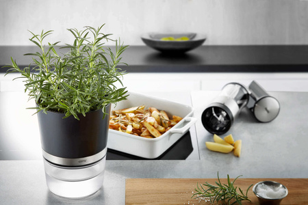 GEFU BOTANICO Doniczka na zioła