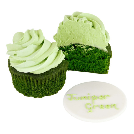 PME Naturalny barwnik spożywczy w płynie 25 ml zielony