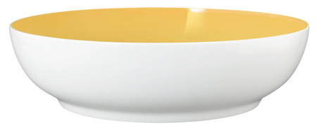 SELTMANN MEADOW GRASSES CURRY Zestaw 2 misek 25 cm