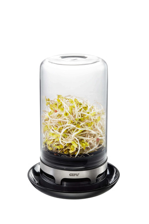 GEFU BIVITA Słoik do kiełkowania