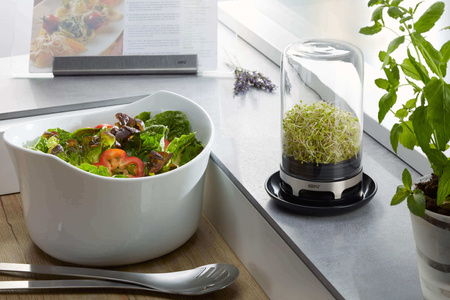 GEFU BIVITA Słoik do kiełkowania