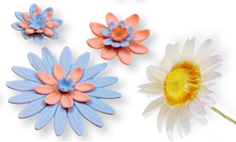 PME 3 Wykrawacze z tłokiem (stokrotka, gerbera, słonecznik)